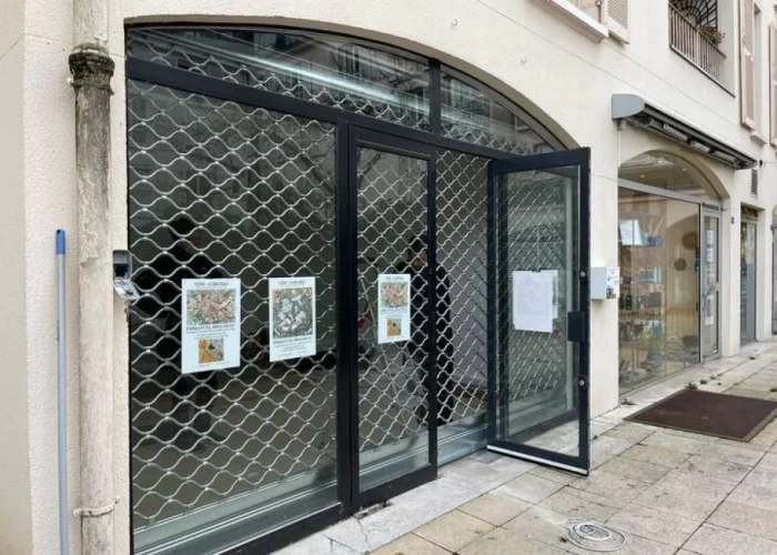 Rideau-grille-métallique-cobra-ondulé-paris-orléans